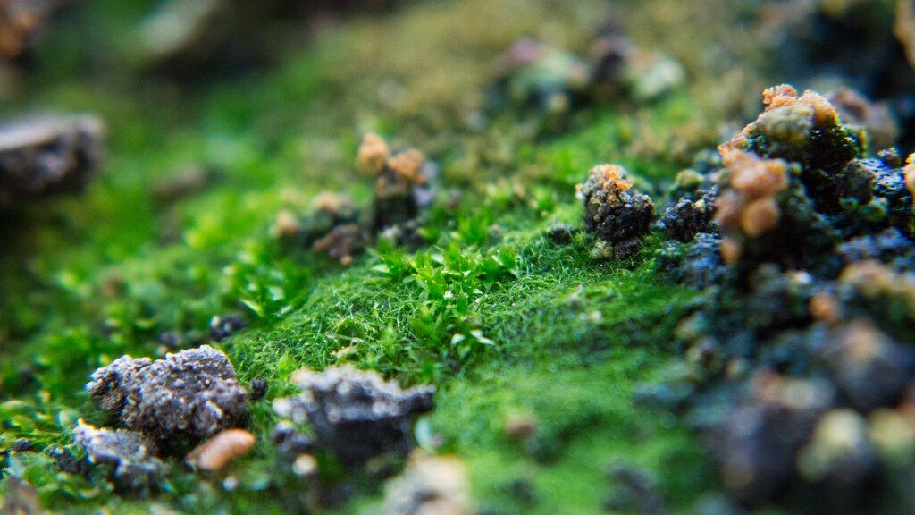 Wir-waren-bloß-verliebte-Kinder2