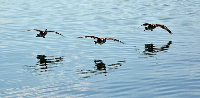 IhrhabtmirsogefehltLooka