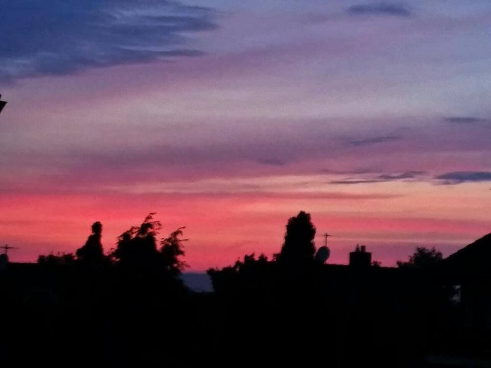 10620960_742383402474762_1527734916_n