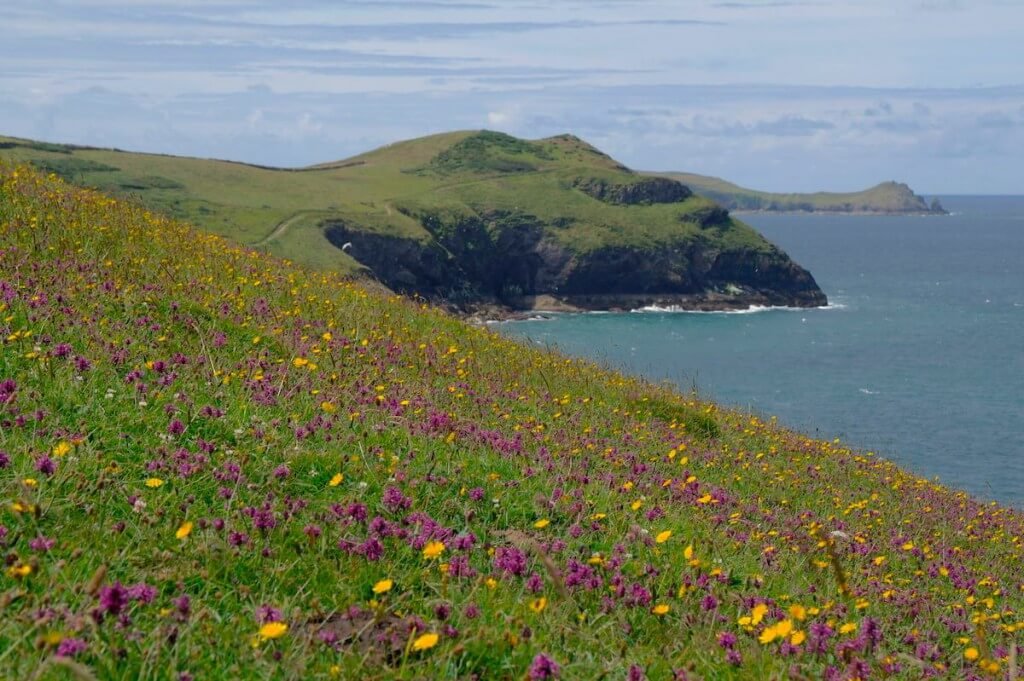 10631827_690937540981676_261570463_o