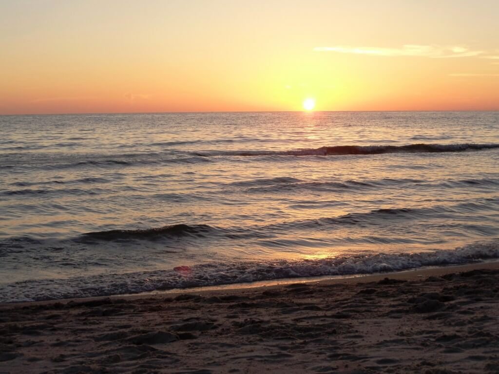 ???????????????????????