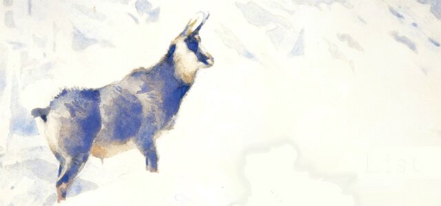 DasGewichtdesSchmetterlingsHeader