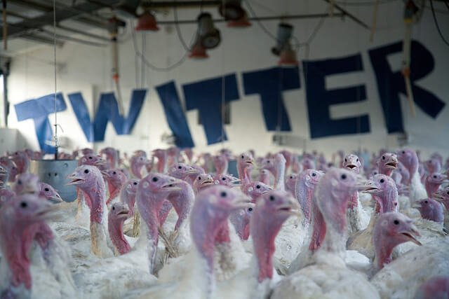 4926322323_dc8369eeff_z