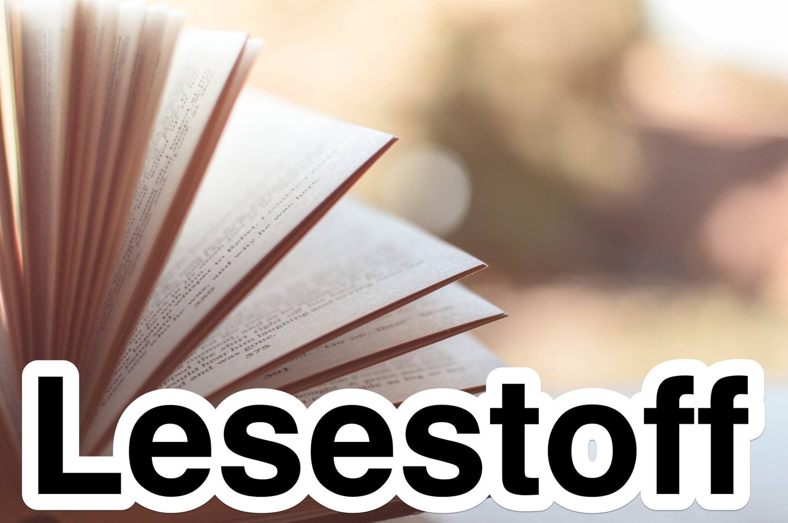 Lesestoff04.jpg