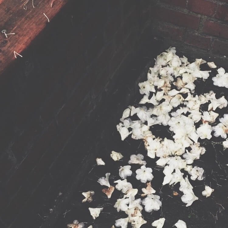 Processed with VSCO with t1 preset