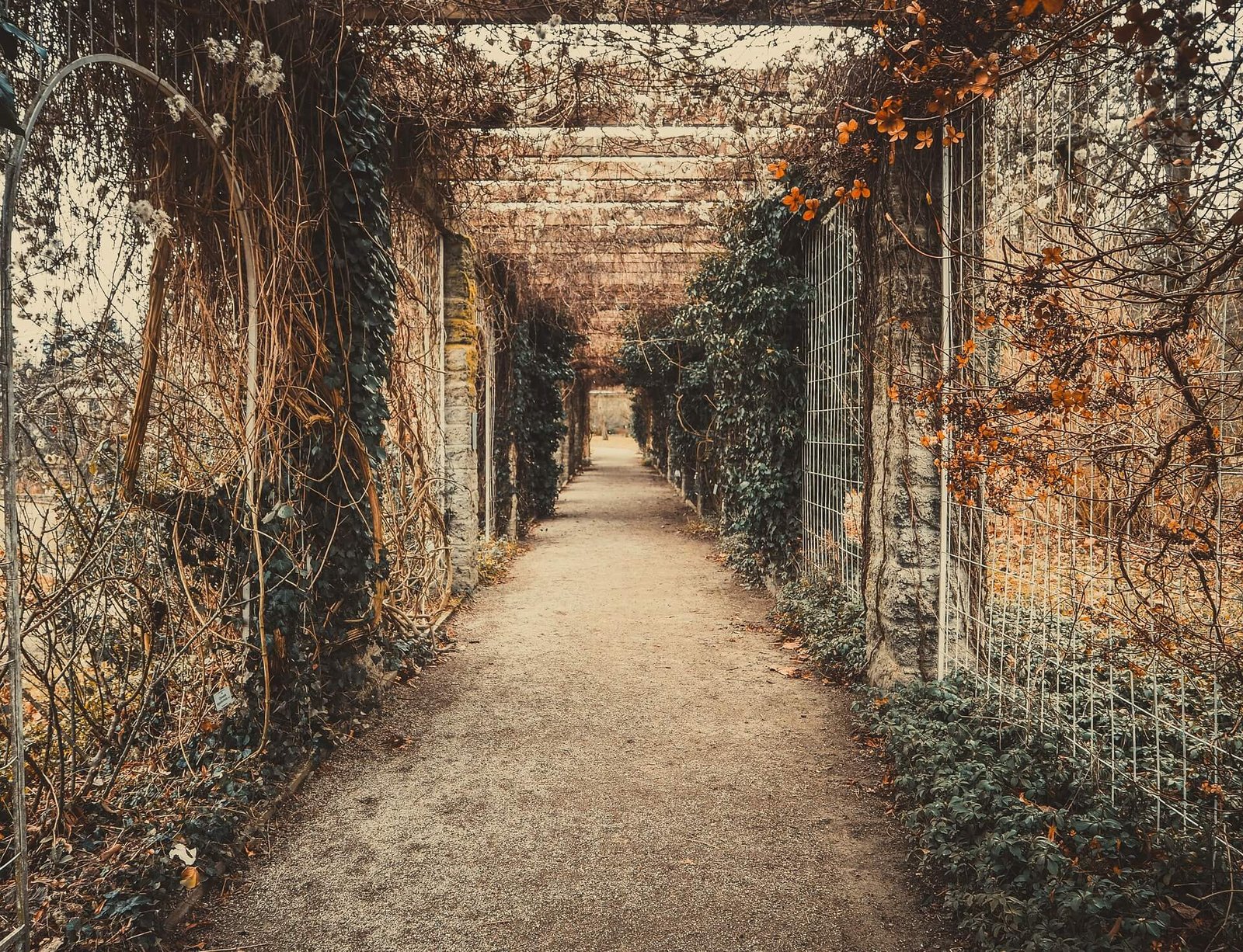 romantic-1303612_1920