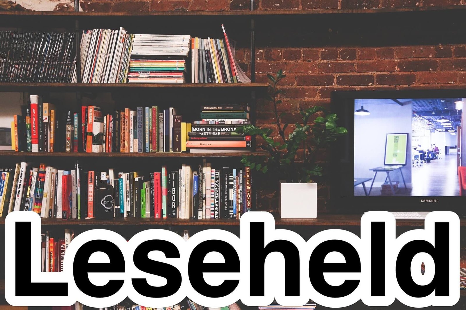 Leseheld8.jpg